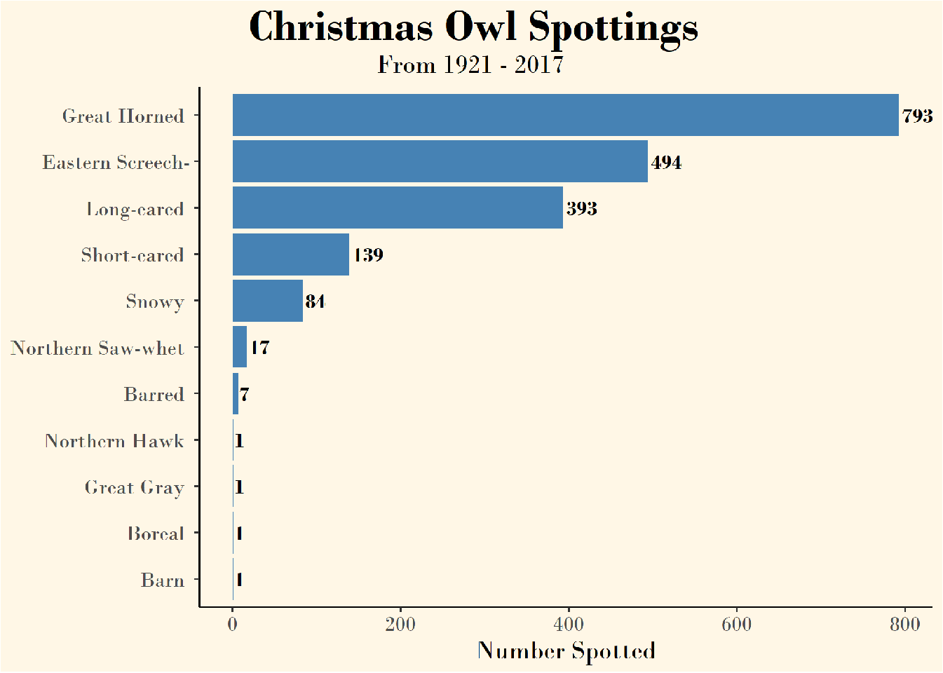 Christmas Owl Spottings