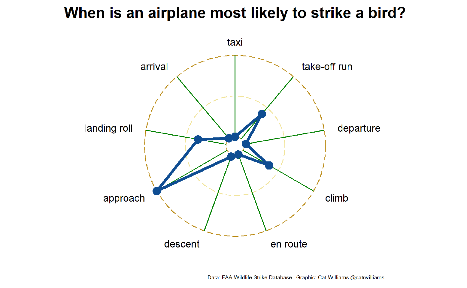 Airplane bird strikes by flight phase